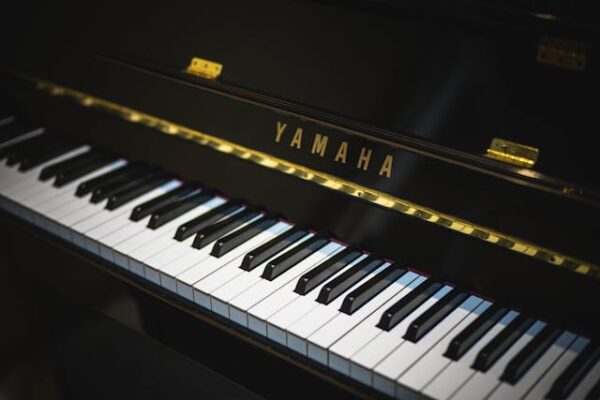 elektrische piano